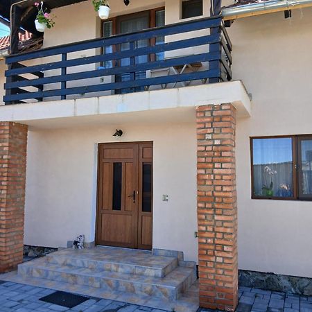 Casa Loredana Cîrţişoara Zewnętrze zdjęcie