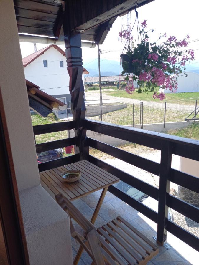 Casa Loredana Cîrţişoara Zewnętrze zdjęcie