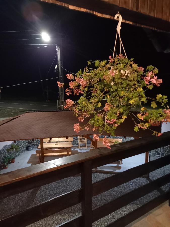 Casa Loredana Cîrţişoara Zewnętrze zdjęcie