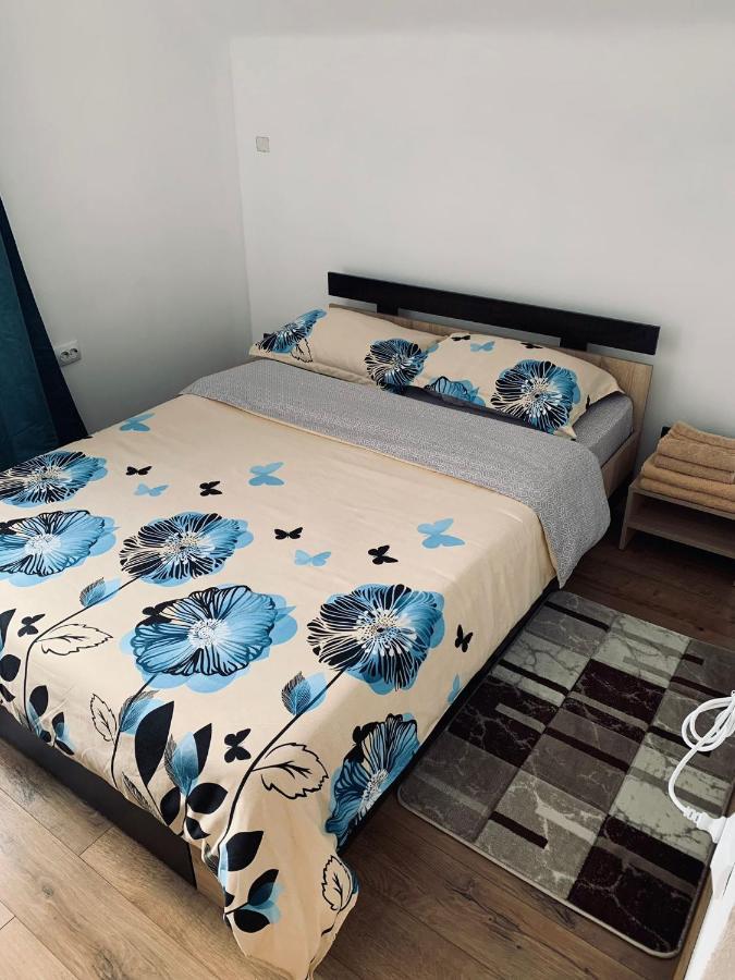 Casa Loredana Cîrţişoara Zewnętrze zdjęcie