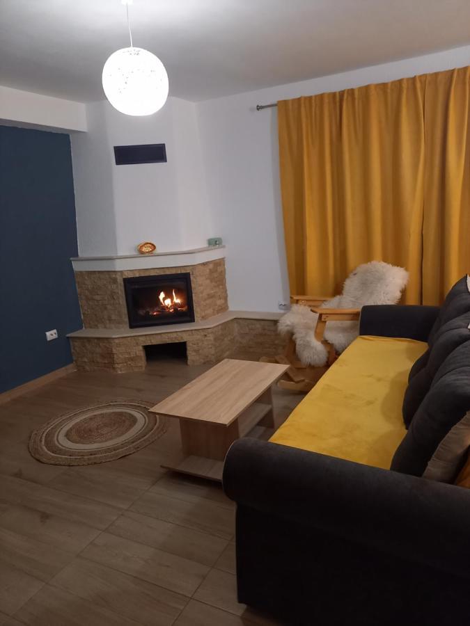 Casa Loredana Cîrţişoara Zewnętrze zdjęcie