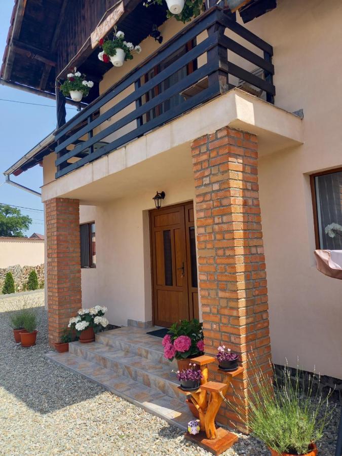 Casa Loredana Cîrţişoara Zewnętrze zdjęcie